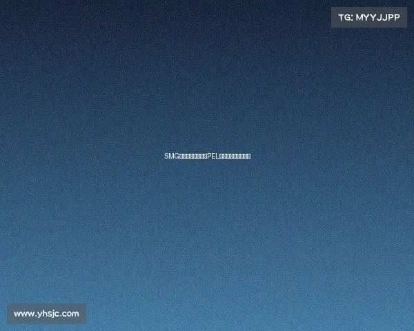 SMG和平精英战队引爆PEL赛场高赛场高光时刻